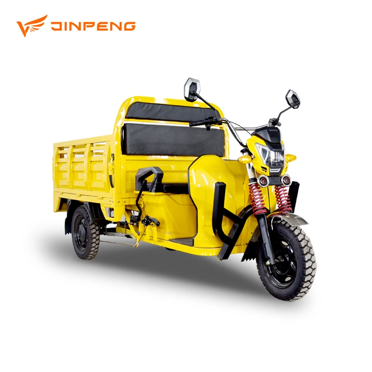 Electric Tricycle Three-Wheeler for Cargo Russia