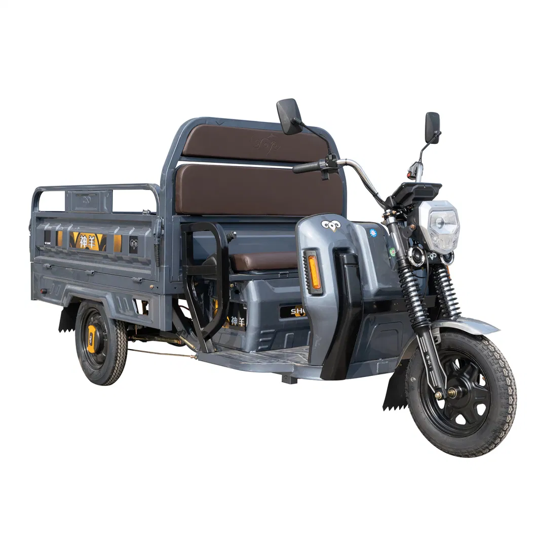 High Quality New Designed Electric Three Wheeler for Delivery