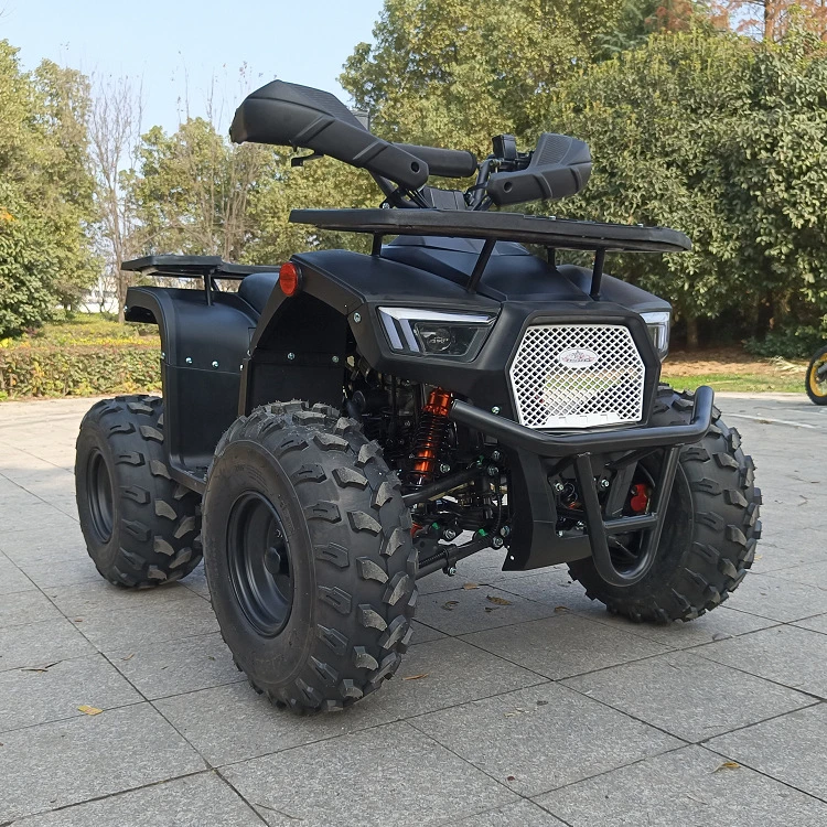 Direct Sales ATV 125cc Shock Proof Medium Sized Chain Drive Adult Venue Scenic Quad Bike