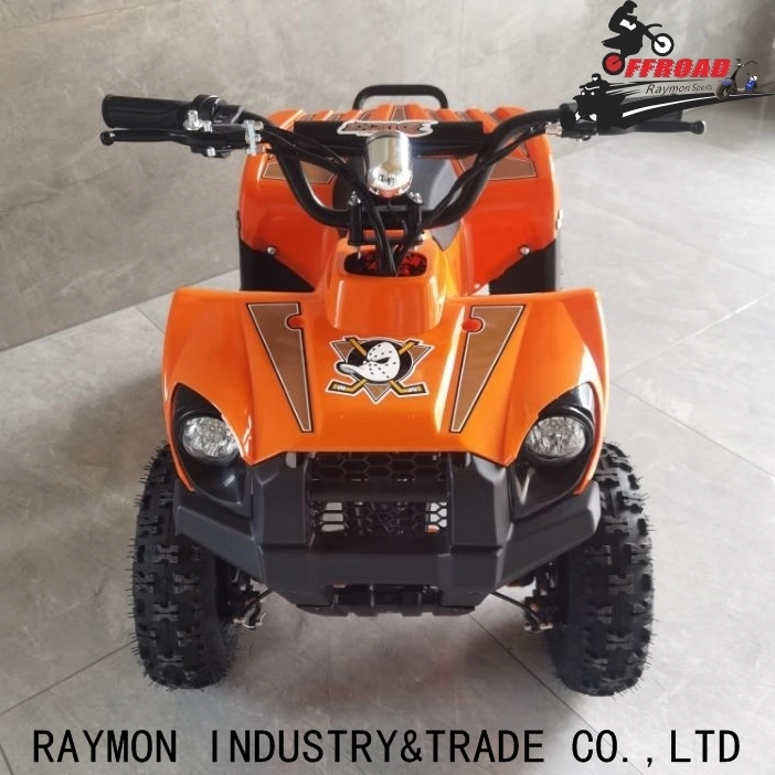 Kids Quad Bikes for Hot Sale, 350W Scooter Bike ATV