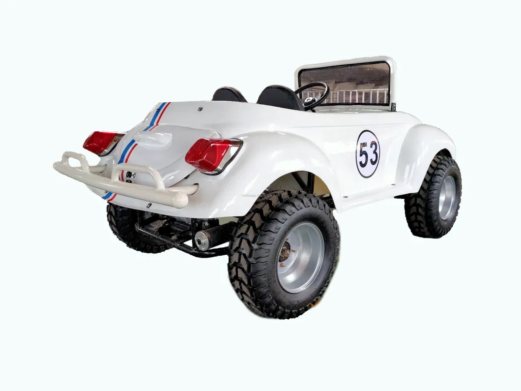 2021 New Type Adults off Road Mini Quad Electric ATV 12 V