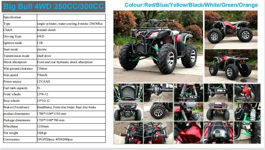 250cc Dirt Bike 4X4 ATV Gasoline&Electric Quad Bike for Adults