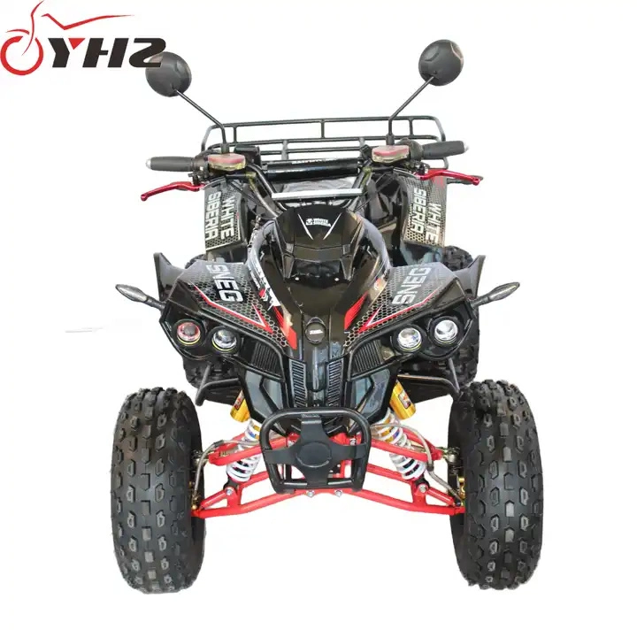 2000W Lead Acid 60V20ah Electric Buggy Go Kart Dirt Bike ATV &amp; Quad