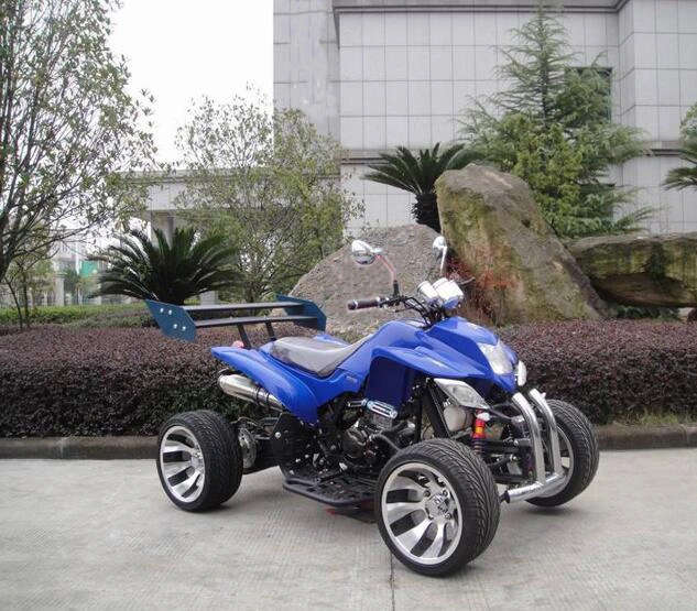 Quad ATV 4X4 250cc 125cc 300cc 500cc 4 Wheel ATV for Adults