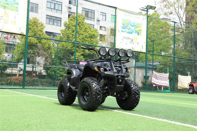 Factory Direct Sales 300cc Farm Quad China 4X4 150cc 49cc Motor for Adults Vehicle 125cc Accessories Import 110cc Timber Trailer Kids 400cc ATV