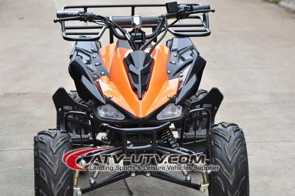 48V 800W &amp; 1000W Shaft Drived Electric ATV Quad Bike with Brushless Motor