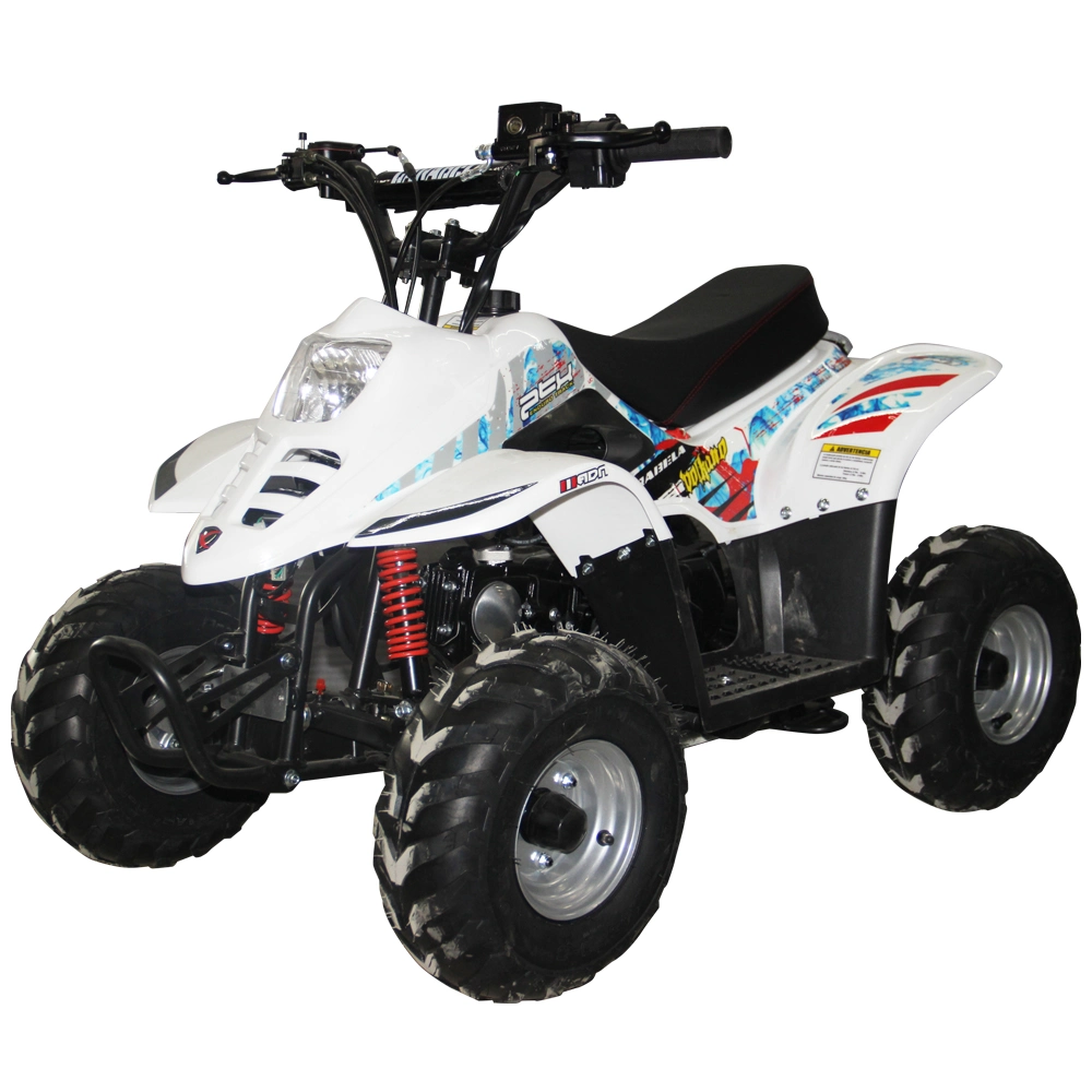 50cc ATV Kids Quad Bike Mini off Road