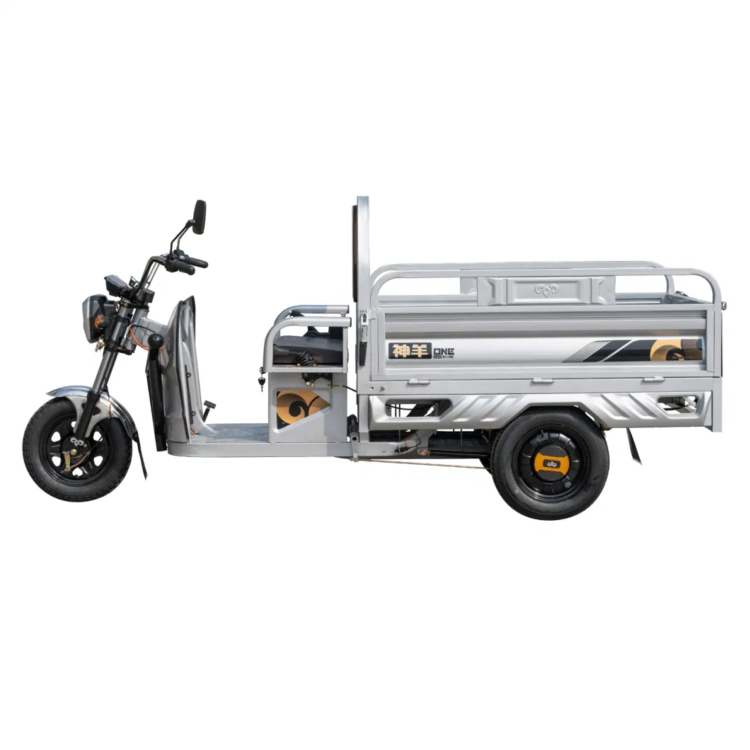 Hot Sale Electri Cargo Tricycle