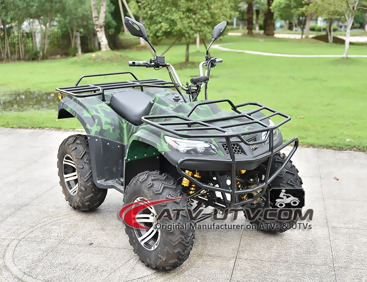 3000W 4000W 5000W 6000W 4X4 Electric Adult 2 Seat ATV/Electric Drive 300cc Farm Quad Bike Price