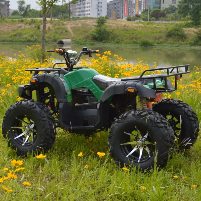 2022 Powerful Adult Electric ATV 2200W 3000W