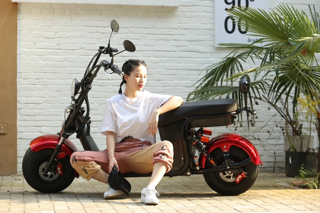 Hot Sale 1500W off Road Electric Motorcycle Scooter Citycoco Adult Elektro Scooter