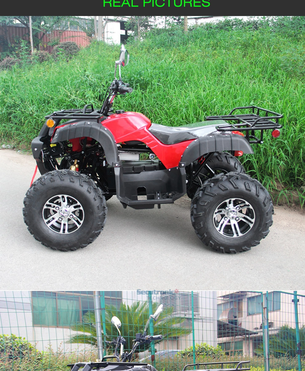 Adult Electric Quad Bike Adults High Performance Hill Climbing Electric Atvs