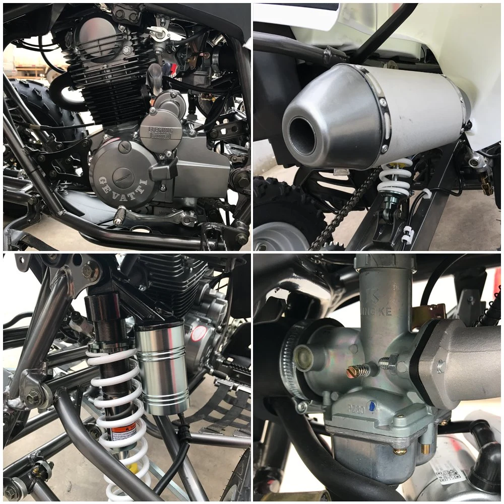 2022 Quad ATV 250cc Air Cooled Engine Quad Motor off Road Atvs
