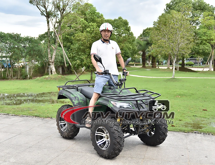 3000W 4000W 5000W 6000W 4X4 Electric Adult 2 Seat ATV/Electric Drive 300cc Farm Quad Bike Price