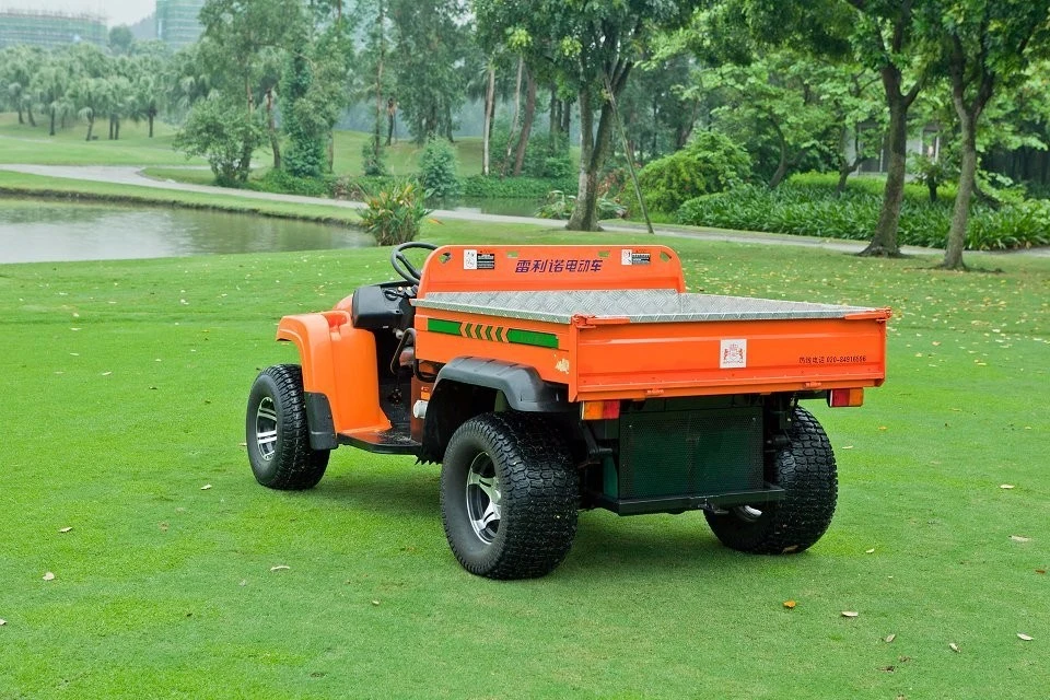 UTV 4 X4 Side by Side All Terrain Vehicle (ATV) Farming Battery Voltage and Electric Fuel Type Utility Cart