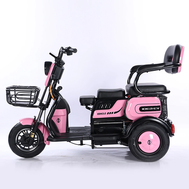 Cheap Manufacture Electric Bike Three Wheeler with 27h 700W Motor