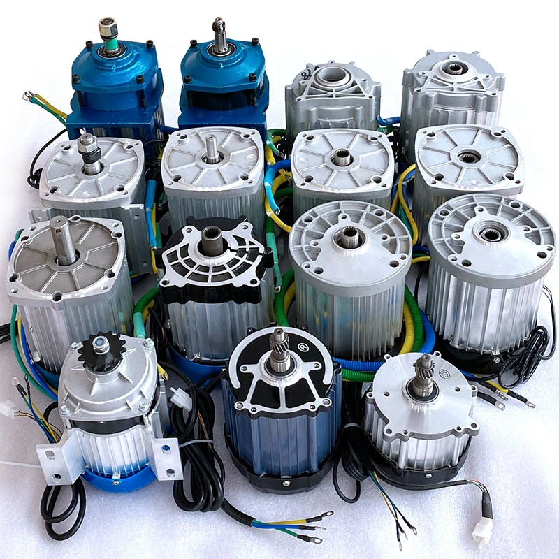 48V/60V 800W 1000W BLDC Gear Motor for Electric Tricycle, Ebike, Tuktuk, Rickshaw