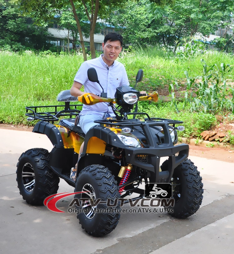 Wholesale New ATV 500W 800W 1000W 1500W 2000W Adult EEC Quad Electric