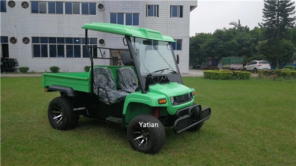 2020 New 5000W Adult Automatic Electric Car UTV Made in China