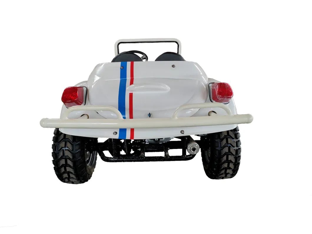 China High Quality 1500W 4X4 Electric Mini Beetle for Adult Atvs