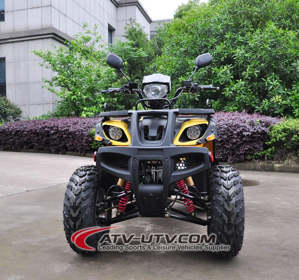 150cc 200cc 250cc 300cc ATV Quad Bike Price 125cc