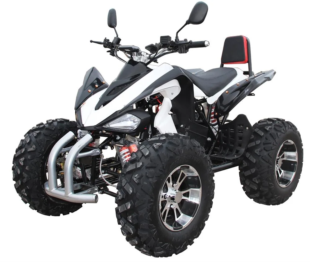 Wider Horizons 1500W Electric ATV Factory Sales