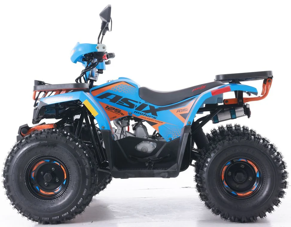 Tao Motor 2024 New Quad Bike Automatic Chain Drive 125cc ATV