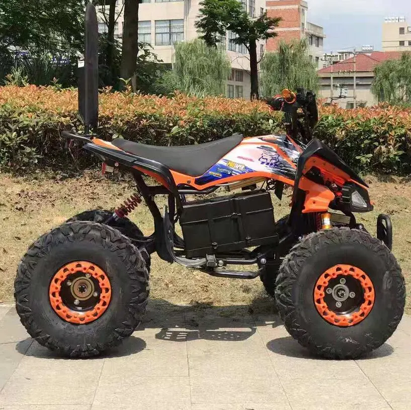 2022 New Model Sport Racing Adult Electric ATV 1000W