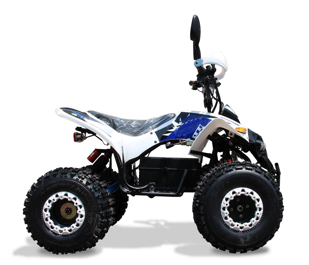 Acceleration 800W 1000W 48V Electric Quad ATV