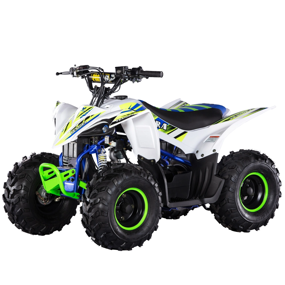 Kids Electric Start Quad Bikes 4 Wheelers Atvs