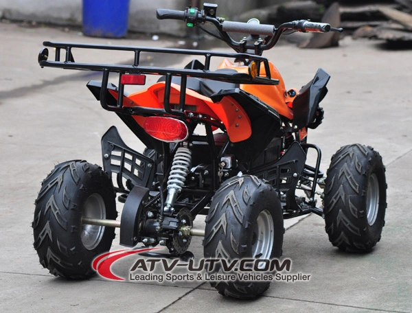 48V 800W &amp; 1000W Shaft Drived Electric ATV Quad Bike with Brushless Motor