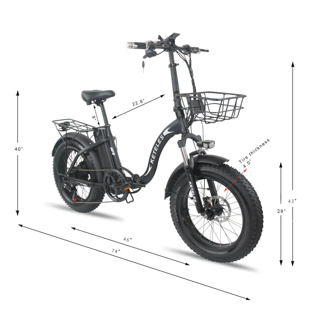 20 Inch Foldable Ebike 1000W48V18ah Rear Wheel Motor Electric City Bike Electric Bicycle with Basket