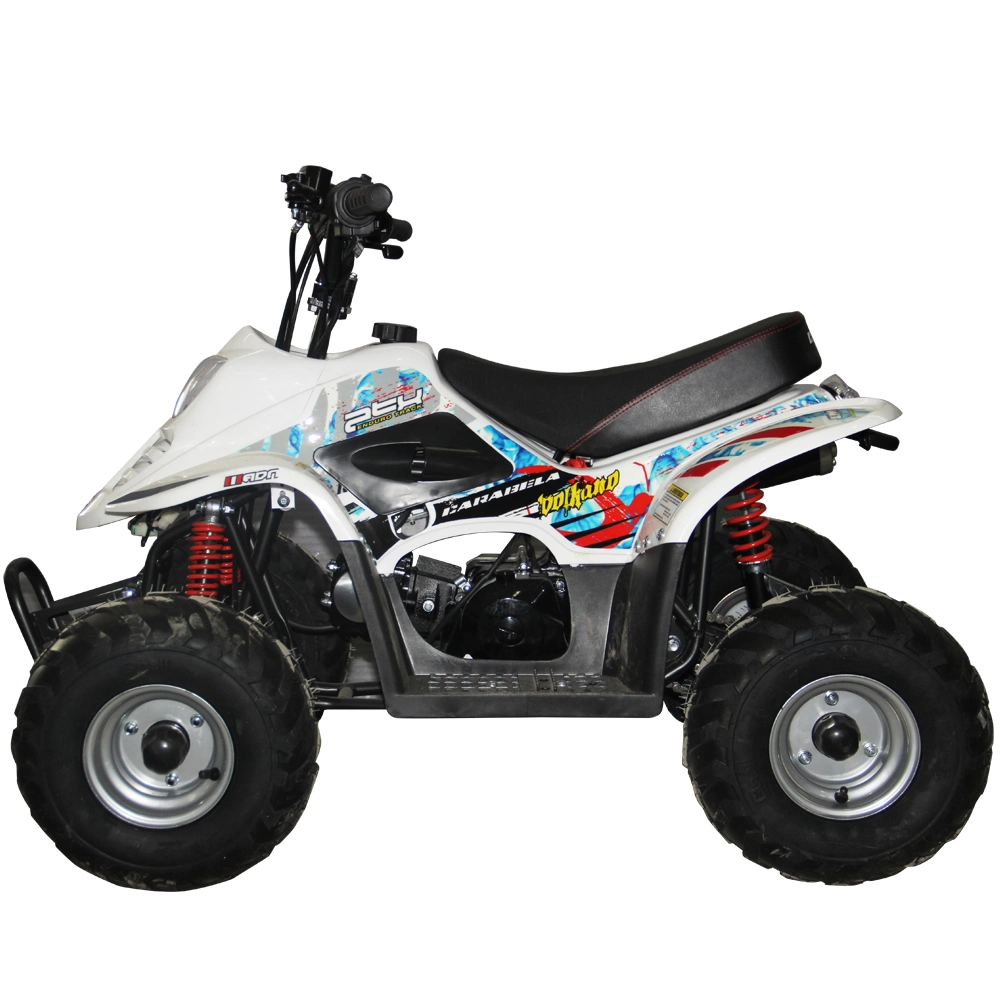 50cc ATV Kids Quad Bike Mini off Road