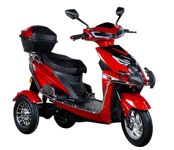 Adult Electric Tricycle Three Wheelers 60V 500W 1000W with Differential Motor Scooter Motorcycle