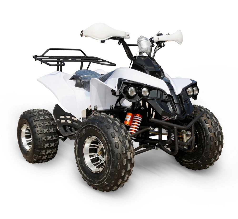 Acceleration 800W 1000W 48V Electric Quad ATV