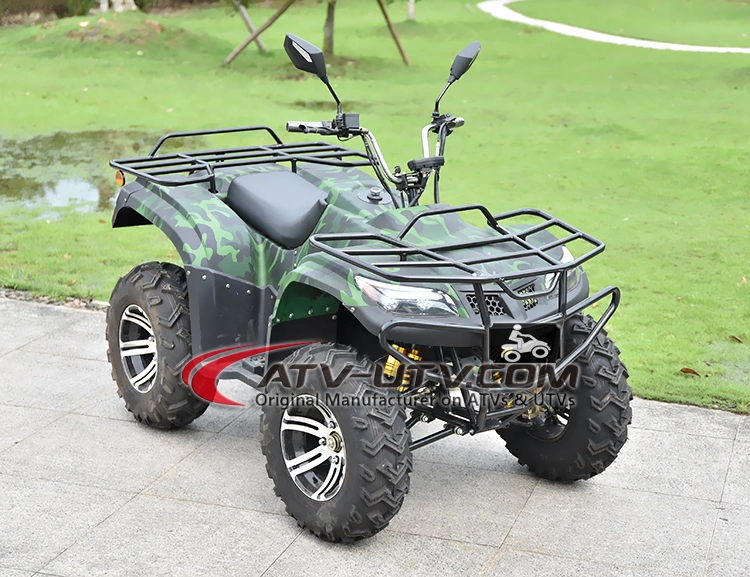 4000W 5000W 6000W Amphibious Electric Adult ATV Quads Prices