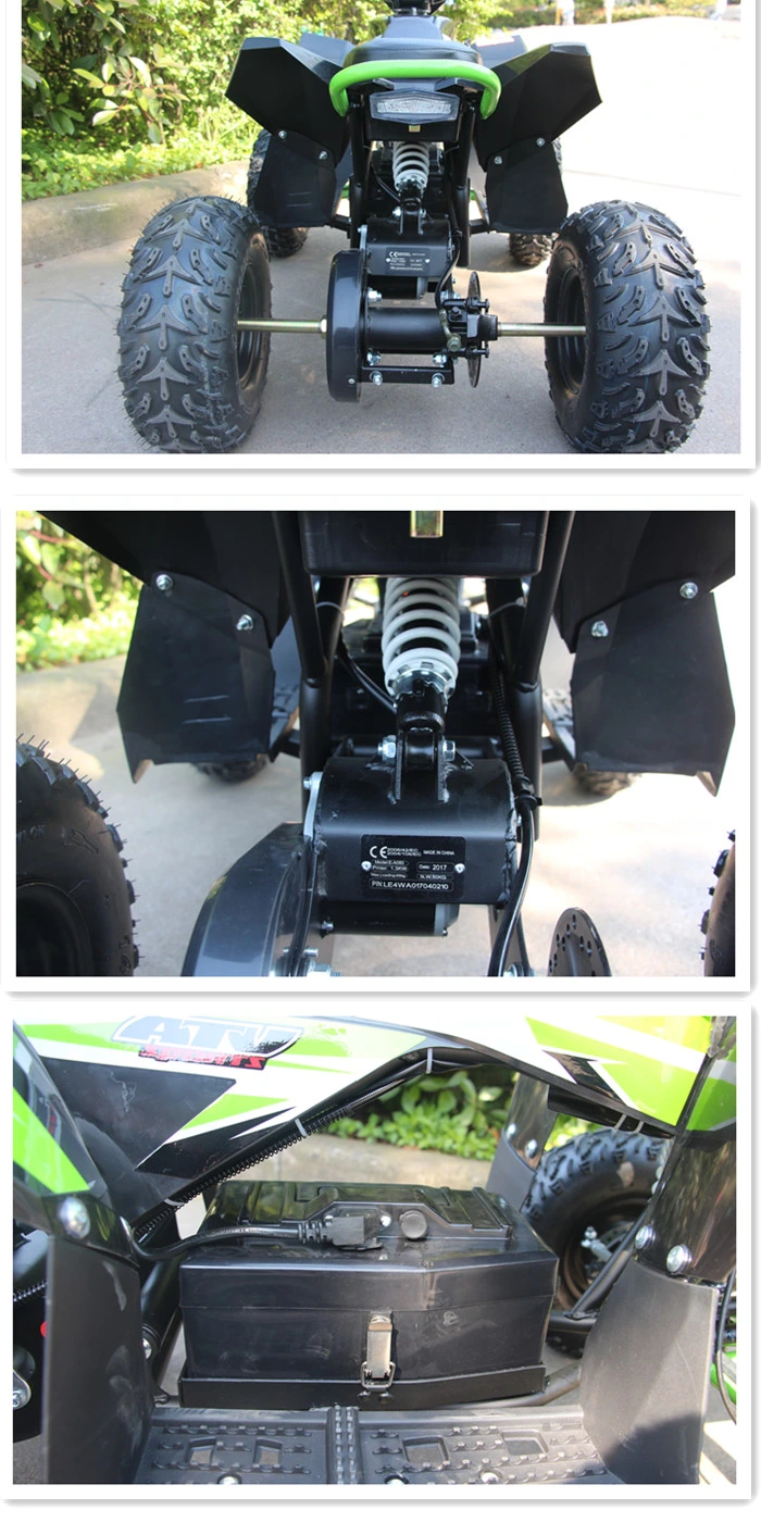 350W, 500W, 800W, 1000W Mini Electric ATV Quads for Kids