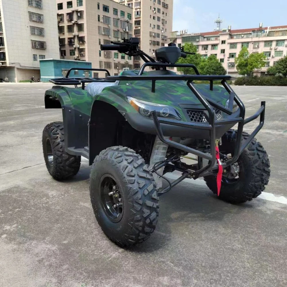 Sport Hunting Outdoors New Shaft Driving 5000W Farm Quad Bike Cruiser Electric ATV