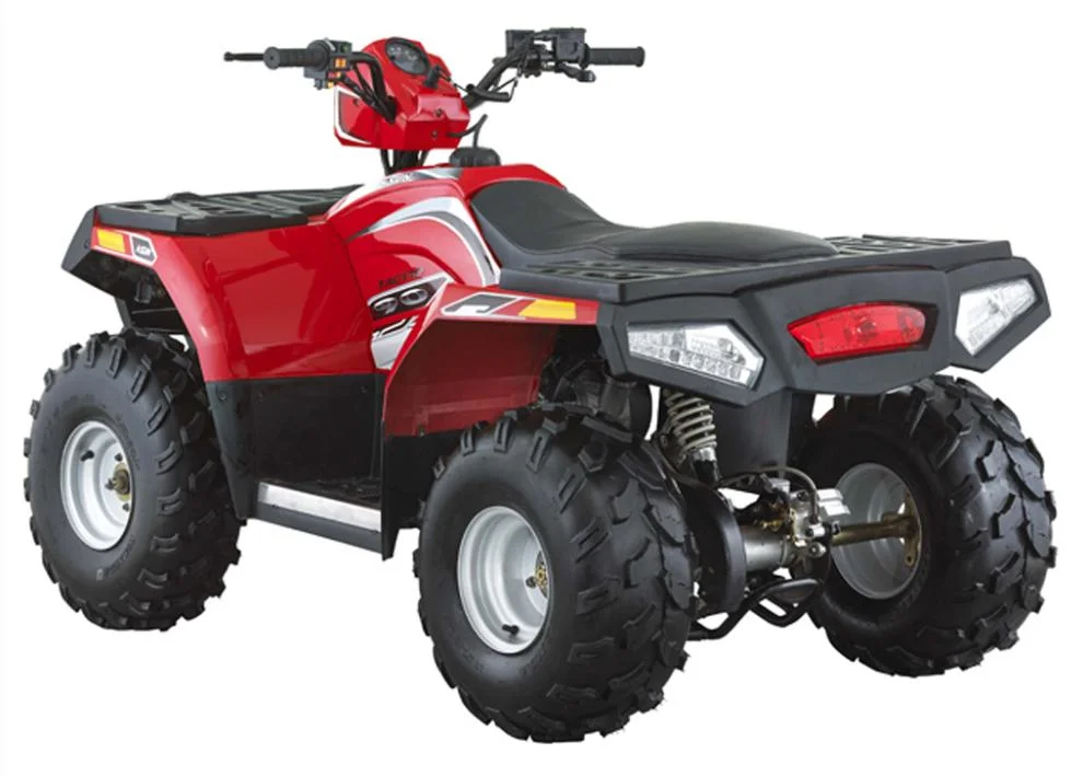 Electric ATV Quad Bike Hisun Quad Kids 110