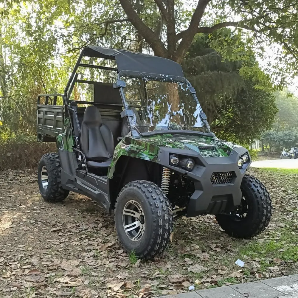 New Electric 2/ 4 Seaters off Road Fram ATV UTV Dune Buggy Quad