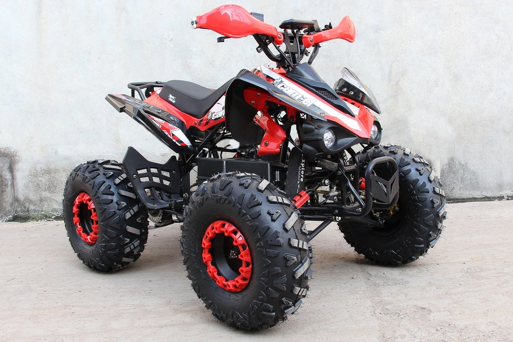 Dew Design Raptor Sport Electric Quad Bikes for Adults Four Wheels ATV 4000W 5000W 8000W