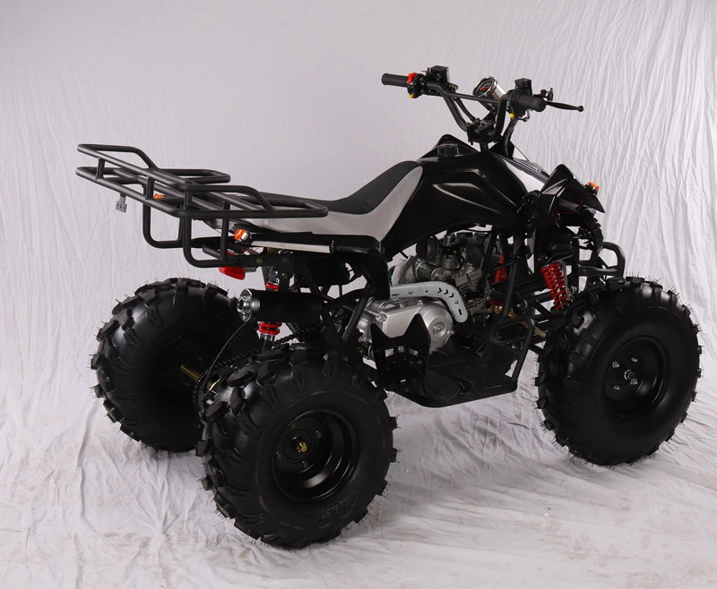 Four Wheel off-Road Motorcycle ATV Farm Motor Quad Motor Bike