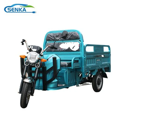 Sk Electric Tricycle Cheap Three-Wheeler for Farming Delivery