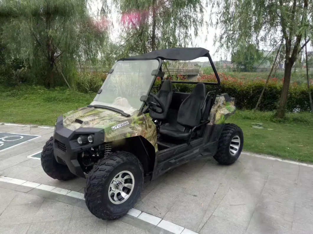 Factory Outlet off-Road Electric UTV All Terrain Vehicle Buggy Racing UTV Utility Vehicle for Sale
