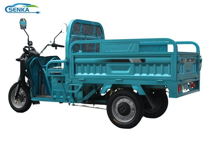 Sk Electric Tricycle Cheap Three-Wheeler for Farming Delivery