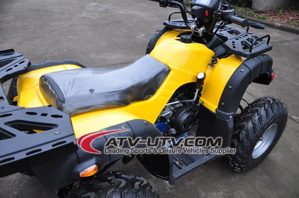 150cc 200cc 250cc 300cc ATV Quad Bike Price 125cc