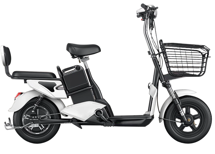 Electric 2 Wheeler Bicycle with Best Price