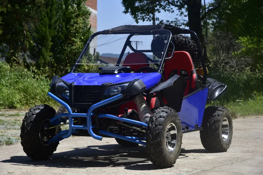 Adult Racing Gasoline Two Seat 200cc ATV Dune Buggy Quad Go Karts
