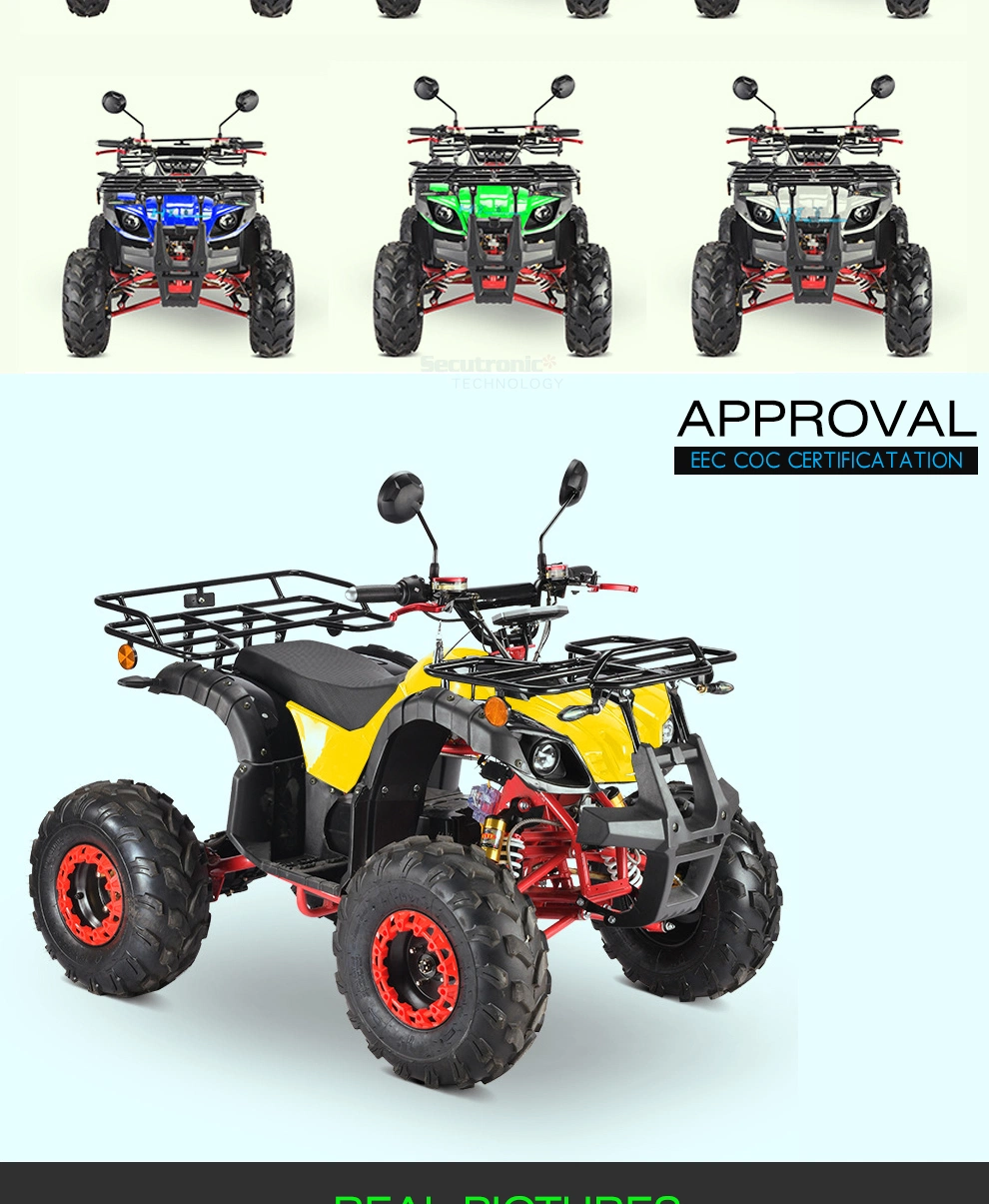 Adult Electric Quad Bike Adults High Performance Hill Climbing Electric Atvs