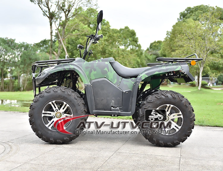 3000W 4000W 5000W 6000W 4X4 Electric Adult 2 Seat ATV/Electric Drive 300cc Farm Quad Bike Price